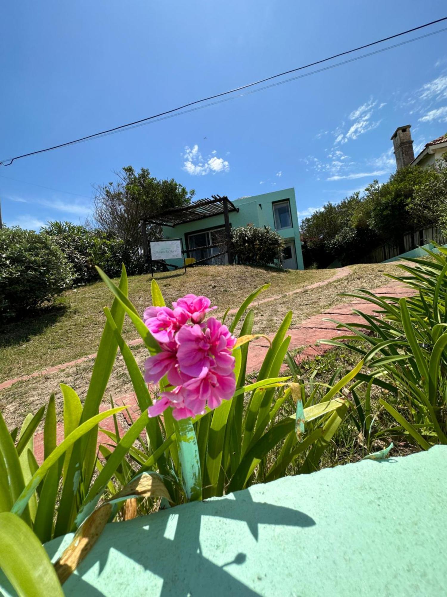 Hotel Donatella Boutique Mar Punta del Este Bagian luar foto